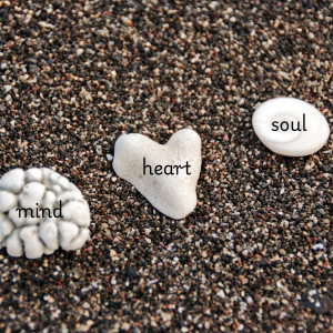 what we need to love our neighbors: sea shells that look like mind, heart and soul