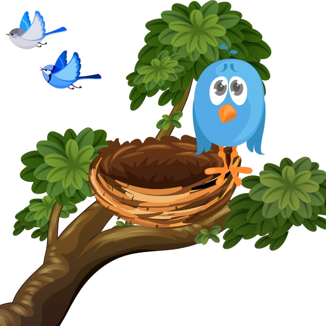 navigating the empty nest